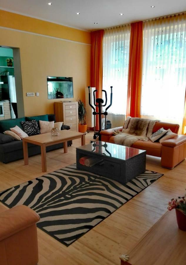 Apartment Villa Frank Mariánské Lázně Εξωτερικό φωτογραφία